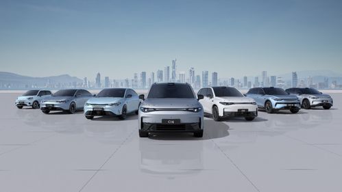 零跑汽車2024上半年財報分析 交付量創(chuàng)歷史新高，營銷網(wǎng)絡(luò)持續(xù)優(yōu)化助力銷售增長